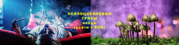 шишки Алексин