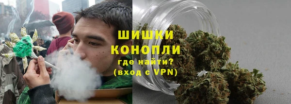 шишки Абинск